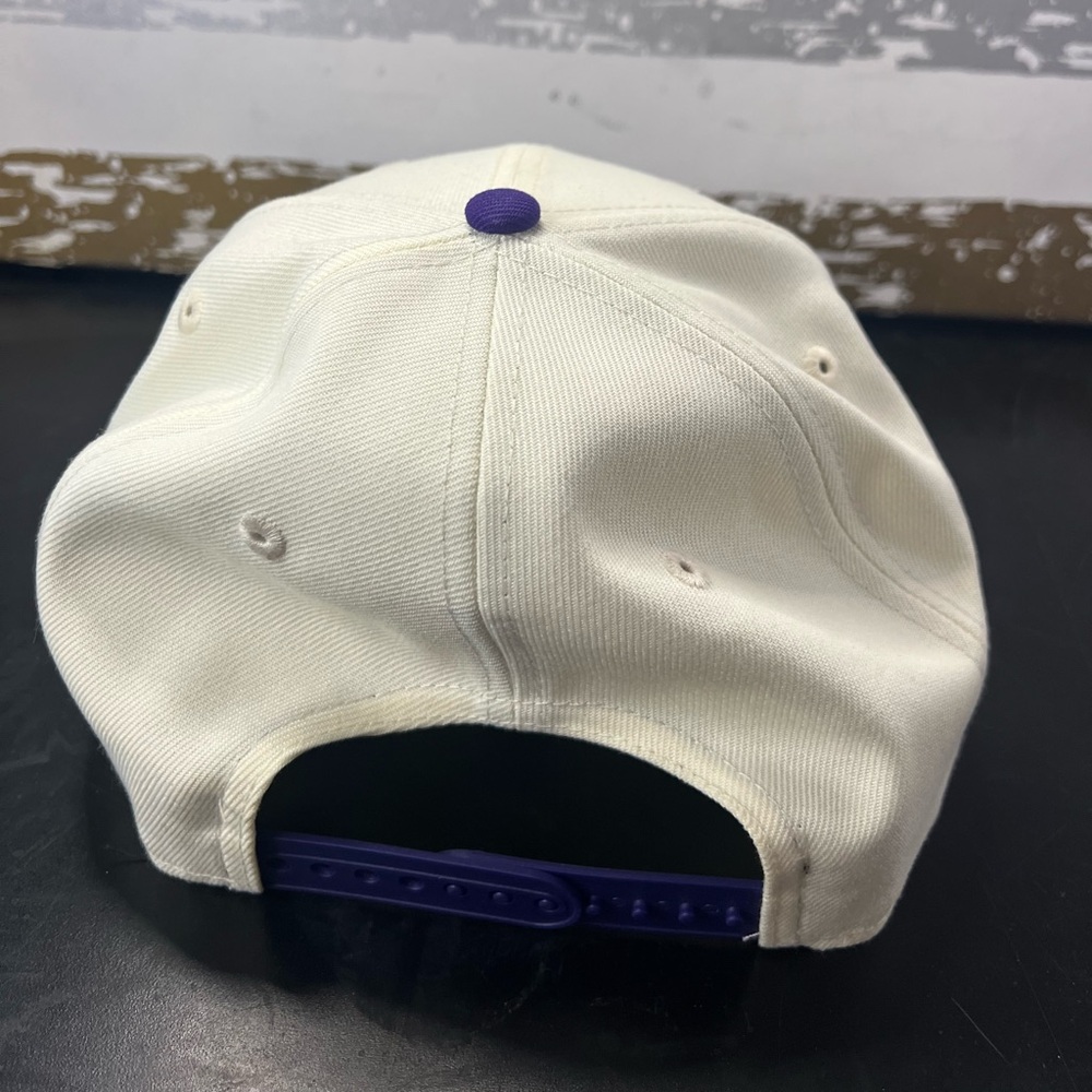 Tampa Bay Devil Rays SnapBacks - Picture 2 of 6